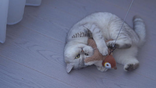 π¦ Simulation Sparrow Cat Toy β Flap, Chirp & Play All Day! πΎ