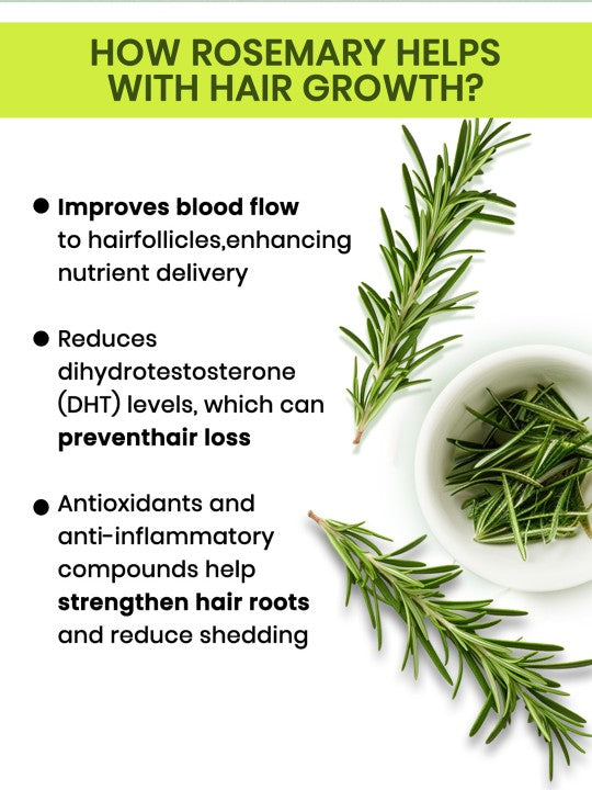 Rosemary Water Hair Spray for Hair Regrowth – Pack of 3 (100 ml each)